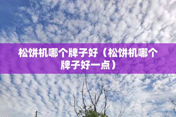 松饼机哪个牌子好（松饼机哪个牌子好一点）