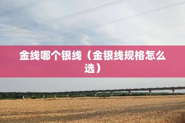 金线哪个银线（金银线规格怎么选）