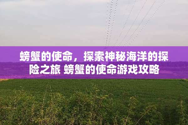 螃蟹的使命，探索神秘海洋的探险之旅 螃蟹的使命游戏攻略