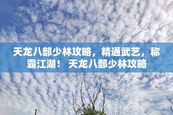 天龙八部少林攻略，精通武艺，称霸江湖！ 天龙八部少林攻略