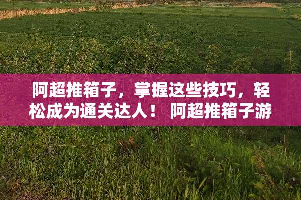 阿超推箱子，掌握这些技巧，轻松成为通关达人！ 阿超推箱子游戏攻略