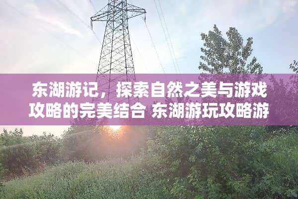 东湖游记，探索自然之美与游戏攻略的完美结合 东湖游玩攻略游戏