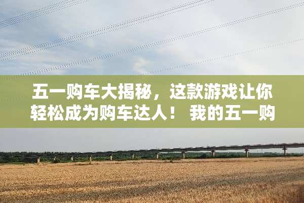 五一购车大揭秘，这款游戏让你轻松成为购车达人！ 我的五一购车攻略游戏