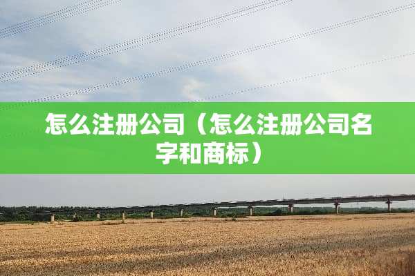 怎么注册公司（怎么注册公司名字和商标）