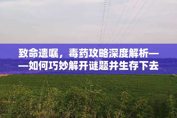 致命遗嘱，毒药攻略深度解析——如何巧妙解开谜题并生存下去？ 致命的遗嘱游戏毒药攻略