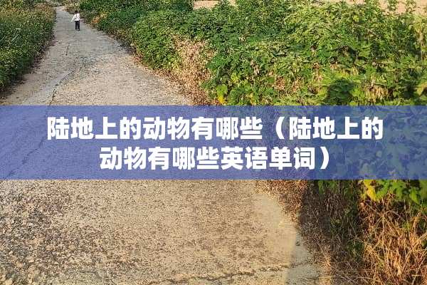 陆地上的动物有哪些(陆地上的动物有哪些英语单词)