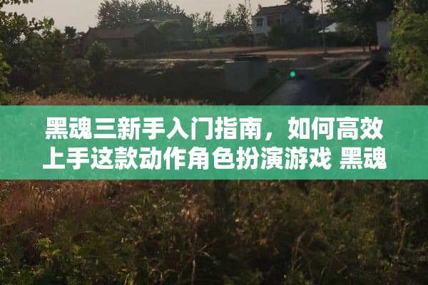 黑魂三新手入门指南,如何高效上手这款动作角色扮演游戏 黑魂三新手攻略 黑魂三新手入门指南,如何高效上手这款动作角色扮演游戏 黑魂三新手攻略