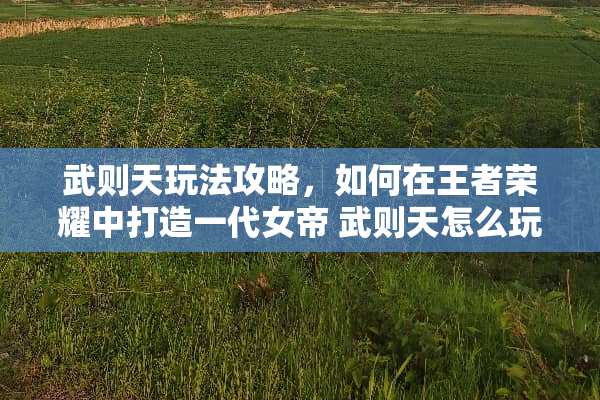 武则天玩法攻略，如何在王者荣耀中打造一代女帝 武则天怎么玩法攻略