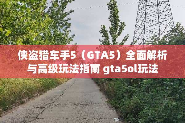 侠盗猎车手5（GTA5）全面解析与高级玩法指南 gta5ol玩法