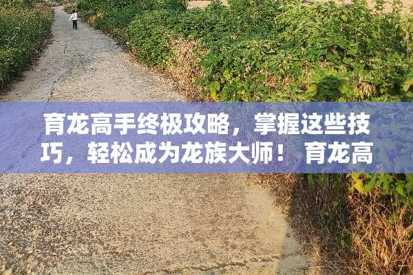 育龙高手终极攻略，掌握这些技巧，轻松成为龙族大师！ 育龙高手攻略