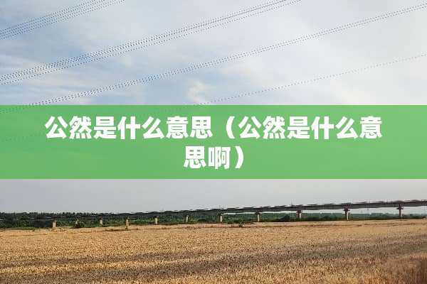 公然是什么意思（公然是什么意思啊）