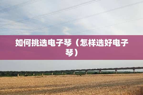 如何挑选电子琴（怎样选好电子琴）