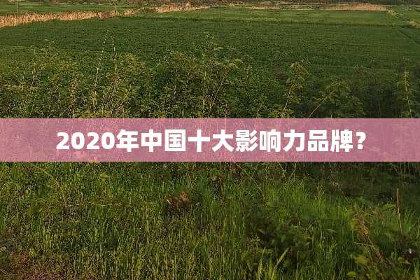 2020年中国十大影响力品牌？