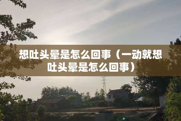 想吐头晕是怎么回事（一动就想吐头晕是怎么回事）