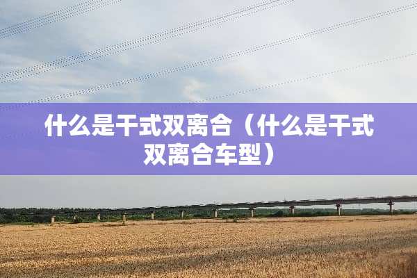 什么是干式双离合（什么是干式双离合车型）