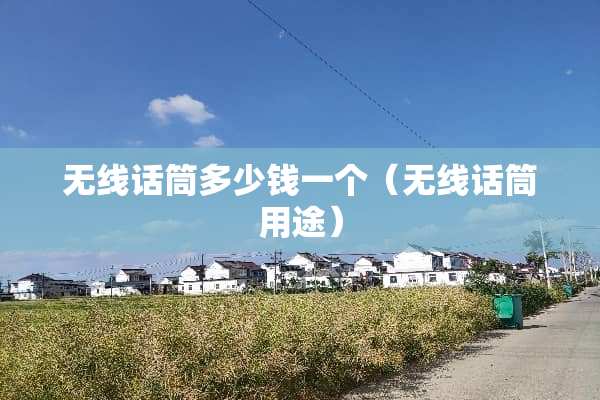 无线话筒多少钱一个（无线话筒用途）