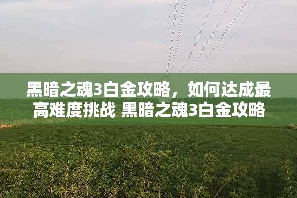 黑暗之魂3白金攻略,如何达成最高难度挑战 黑暗之魂3白金攻略 黑暗之魂3白金攻略,如何达成最高难度挑战 黑暗之魂3白金攻略