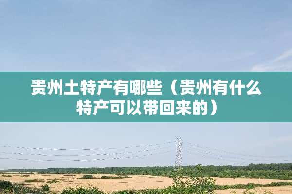 贵州土特产有哪些（贵州有什么特产可以带回来的）