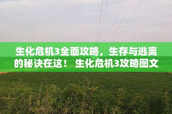 生化危机3全面攻略，生存与逃离的秘诀在这！ 生化危机3攻略图文