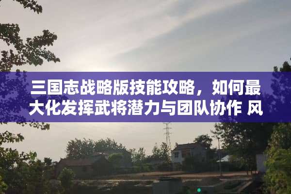 三国志战略版技能攻略，如何最大化发挥武将潜力与团队协作 风云三国技能