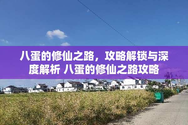 八蛋的修仙之路，攻略解锁与深度解析 八蛋的修仙之路攻略