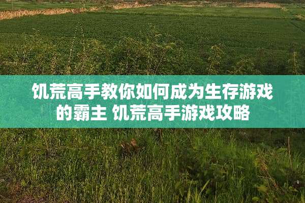 饥荒高手教你如何成为生存游戏的霸主 饥荒高手游戏攻略