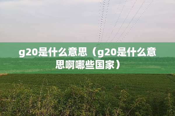 g20是什么意思（g20是什么意思啊哪些国家）