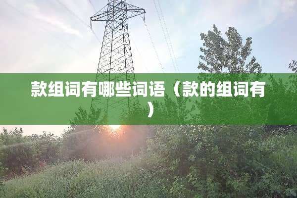 款组词有哪些词语（款的组词有）