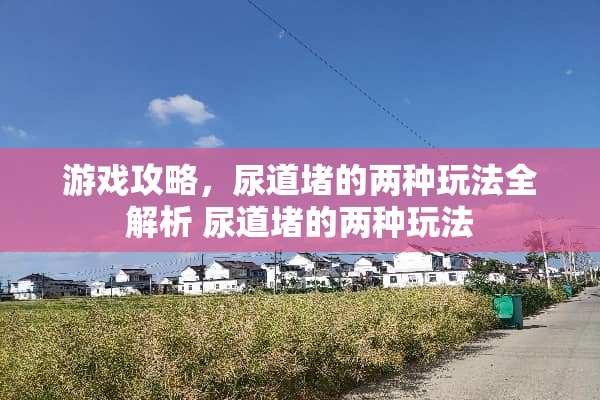游戏攻略，尿道堵的两种玩法全解析 尿道堵的两种玩法
