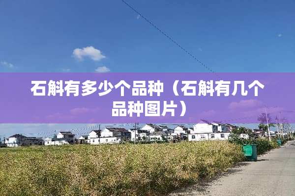 石斛有多少个品种（石斛有几个品种图片）