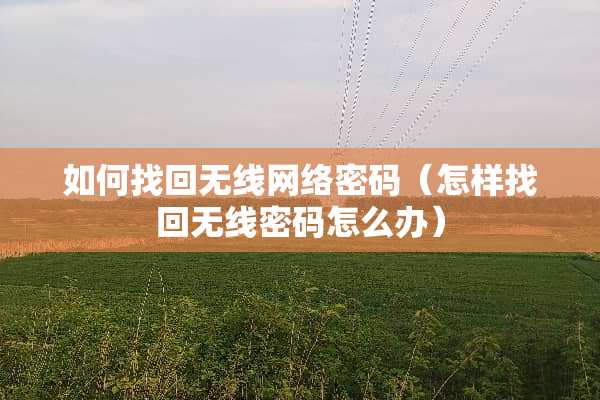 如何找回无线网络密码（怎样找回无线密码怎么办）