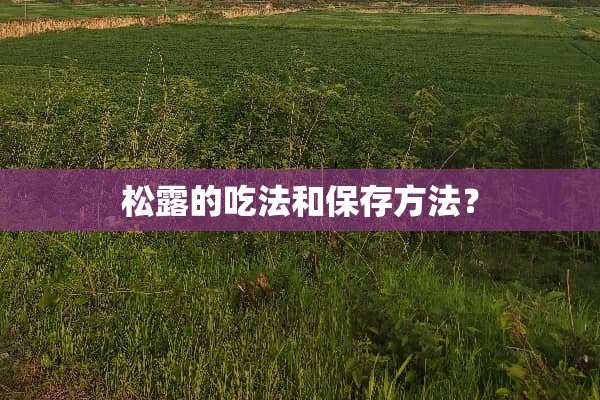 松露的吃法和保存方法？