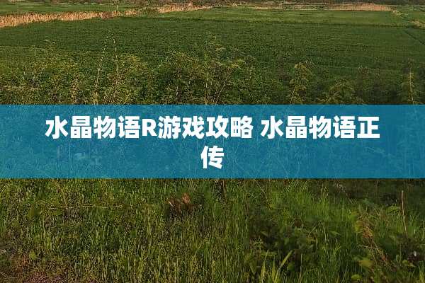 水晶物语R游戏攻略 水晶物语正传