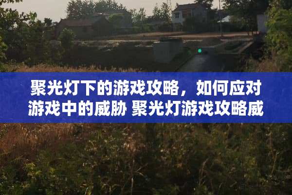 聚光灯下的游戏攻略，如何应对游戏中的威胁 聚光灯游戏攻略威胁