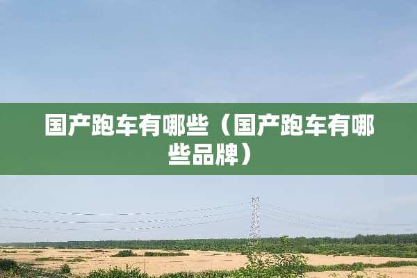 国产跑车有哪些（国产跑车有哪些品牌）