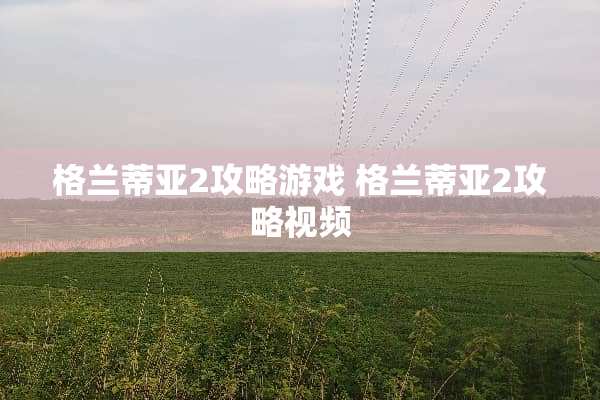 格兰蒂亚2攻略游戏 格兰蒂亚2攻略视频