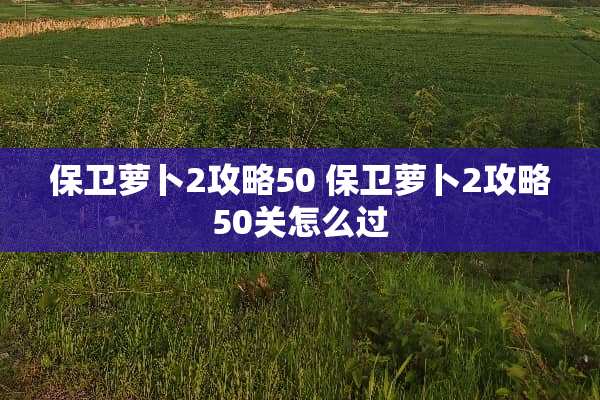 保卫萝卜2攻略50 保卫萝卜2攻略50关怎么过