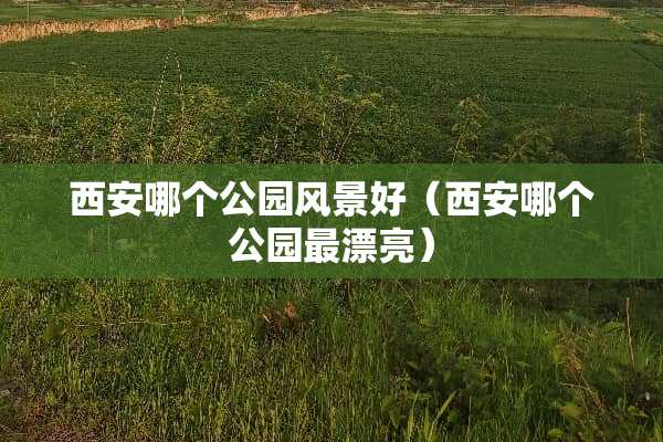 西安哪个公园风景好（西安哪个公园最漂亮）