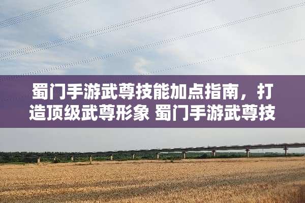 蜀门手游武尊技能加点指南，打造**武尊形象 蜀门手游武尊技能加点