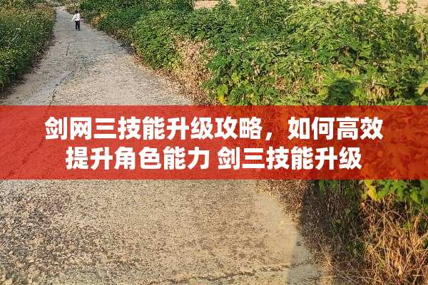 剑网三技能升级攻略，如何高效提升角色能力 剑三技能升级