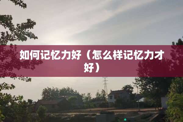 如何记忆力好（怎么样记忆力才好）