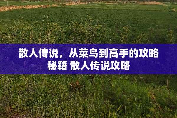 散人传说，从菜鸟到高手的攻略秘籍 散人传说攻略