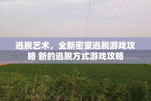 逃脱艺术，全新密室逃脱游戏攻略 新的逃脱方式游戏攻略