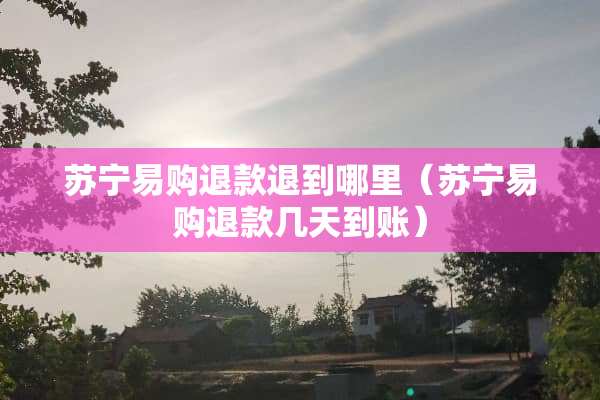 苏宁易购退款退到哪里（苏宁易购退款几天到账）