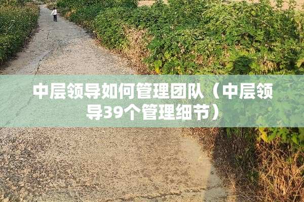 中层领导如何管理团队（中层领导39个管理细节）