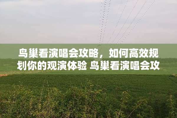 **看演唱会攻略，如何高效规划你的观演体验**看演唱会攻略