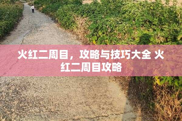 火红二周目，攻略与技巧大全 火红二周目攻略