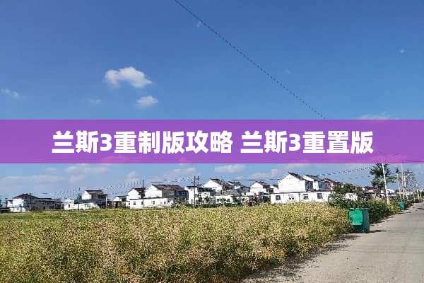 兰斯3重制版攻略 兰斯3重置版