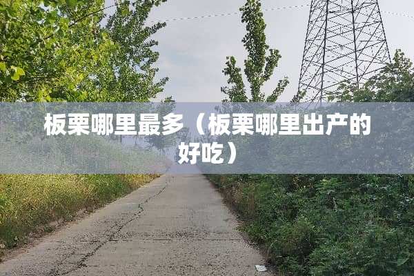 板栗哪里最多（板栗哪里出产的好吃）