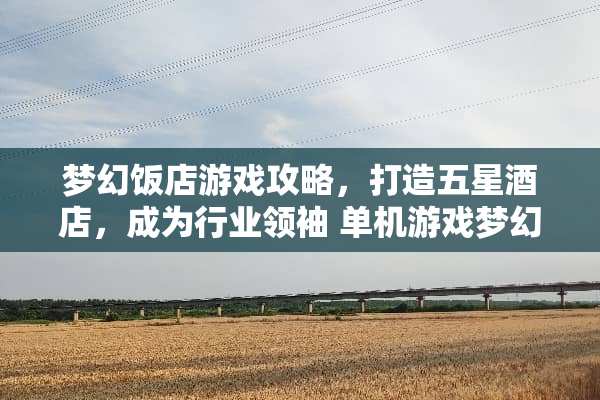 梦幻饭店游戏攻略，打造五星酒店，成为行业领袖 单机游戏梦幻饭店攻略